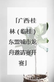 广西·桂林（临桂）东盟城市龙舟邀请赛开赛